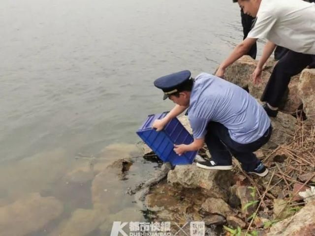  开业|浙江一饭店开业，演员送来一件“礼物”被举报