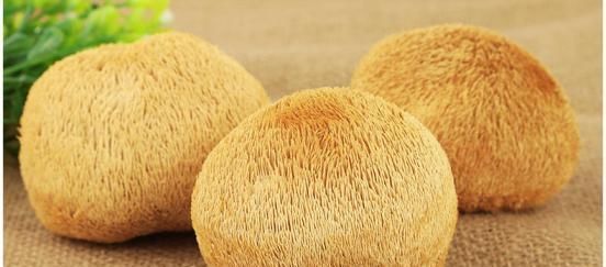  营养价值|山猴头、海味燕窝的营养价值被夸大了吗？