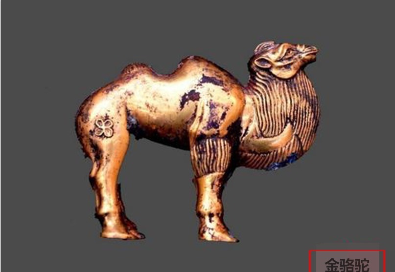 历史|秦始皇陵发现单体金骆驼,那时中原没有骆驼,是新疆人“送”来的