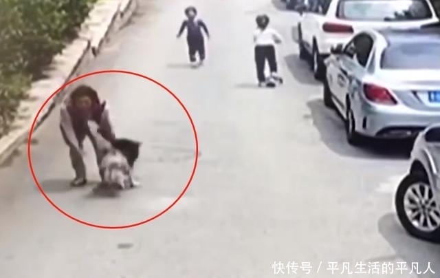  相依为命|哈士奇扑向小孩连续咬伤4人！主人就站在一旁，狗主人：这条狗跟我相依为命