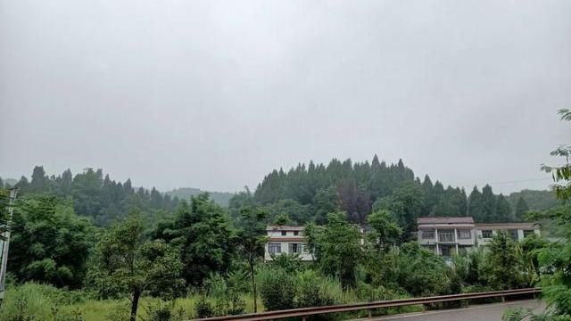  证明|男子病逝后，养女为其开死亡证明，发现养父是命案逃犯