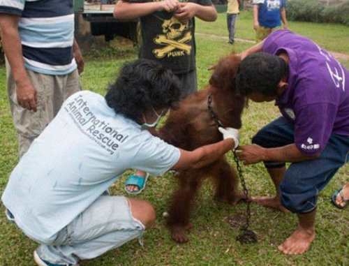 肿瘤|农村女子山里发现一长着“大肿瘤”还会动的树,上前查看双眼呆了
