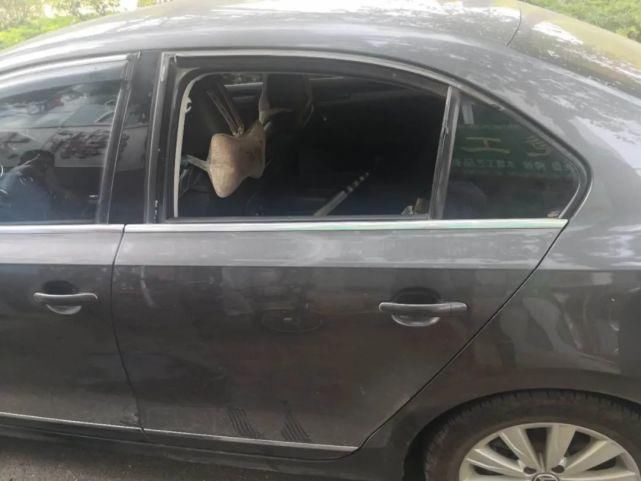 盗窃|定南多起砸车玻璃盗窃车内财物案,破了!!!