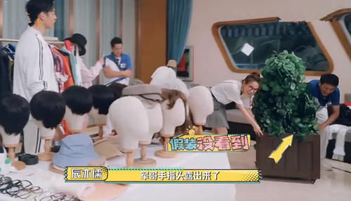  节目中|王耀庆躺赢引热议，都这么玩的话，《元气满满的哥哥》可以弃了