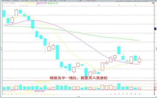  子行业|一位投资银行的老股民：5年前只买5万工商银行，无视涨跌持有到现赚了多少？真正的价值投资资