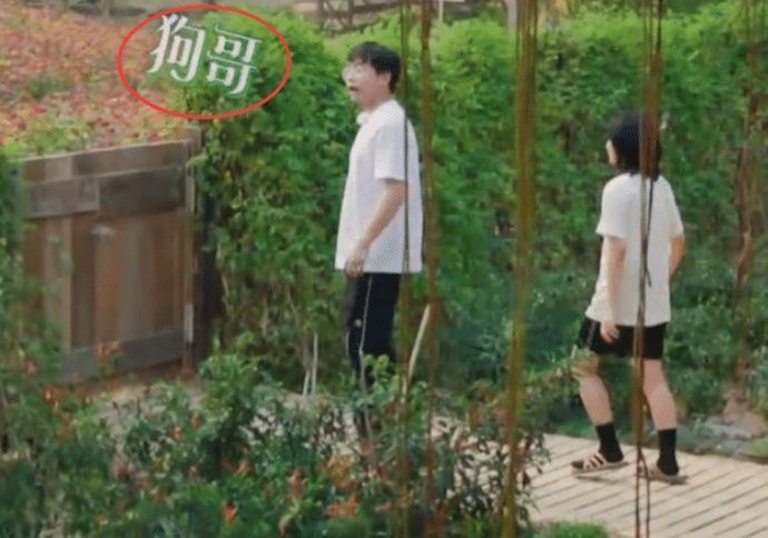  亲密|叫彭昱畅太生疏，叫彭彭太亲密，听听张婧仪的称呼-太真实