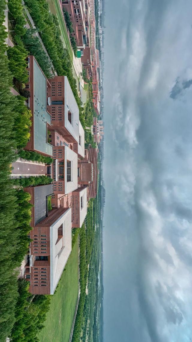 北洋园|啊,我的天大啊!