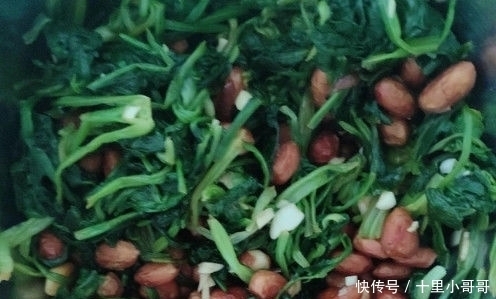 夏天|适合夏天吃的5道凉拌菜,清爽开胃又下饭,值得收藏