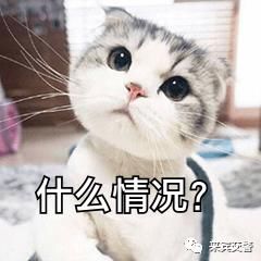  乘客|交警：“你跑啥？”乘客：“我见他跑我也跑……”