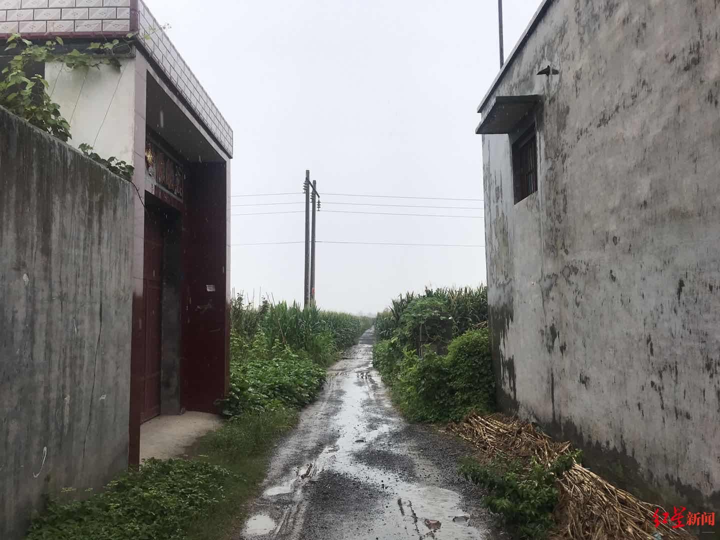 细节|还原虞城命案细节:嫌犯两年前声称报复举报者,曾提前探路