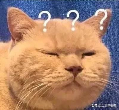  微信|后生可畏啊！东北12岁女孩被骗后一波神操作，诈骗团伙没了