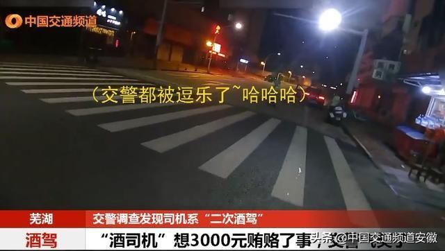  交警|“酒司机”被查，想3000元贿赂了事？交警笑了···