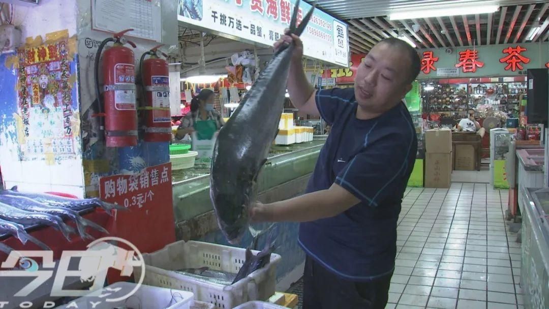 海鲜|青岛海鲜市场现大鱼!这么多海鲜,你最爱哪个?