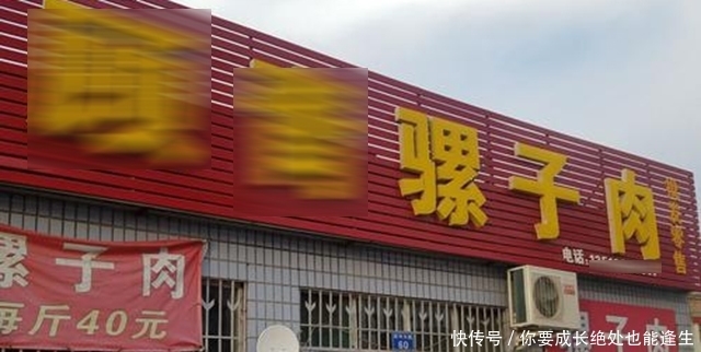 俗语|农村俗语：饿死不吃骡子肉，骡子肉有那么难吃吗？现在明白了