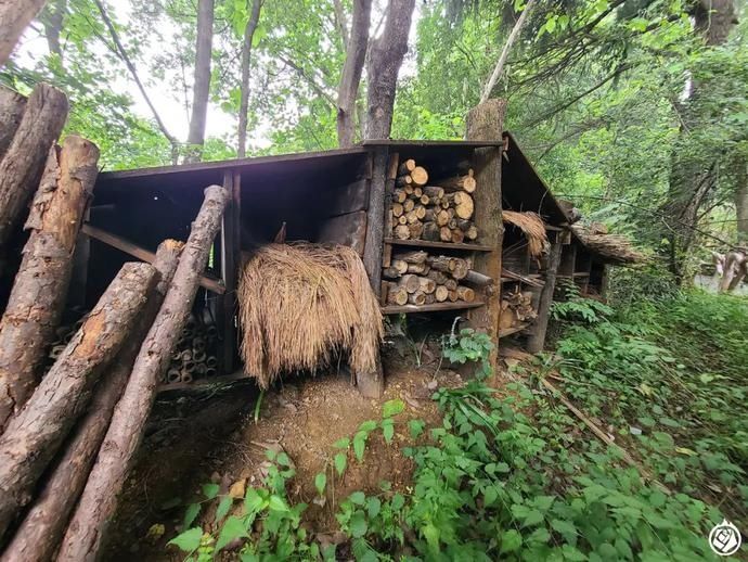  红山|给豹子一座山，又不只是山