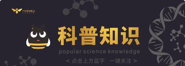  夏季|健康养生｜夏日养生，你懂了吗