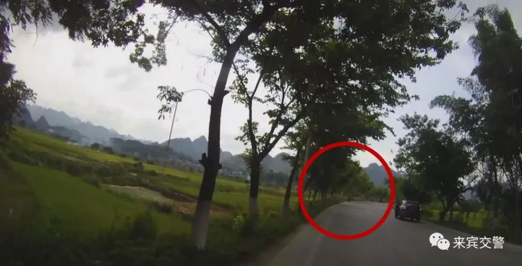  推下|路遇交警，忻城“小机灵”为何立马将车推下路基？