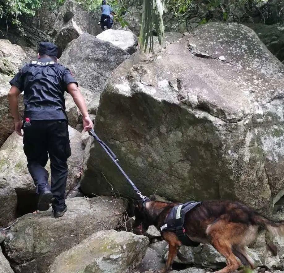 丰镇边肚|万宁警方悬赏5万元抓捕的嫌疑人落网！现场视频曝光