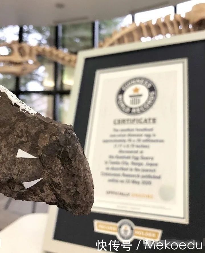 茨城|发现史上最小恐龙蛋?——揭秘筑波大学