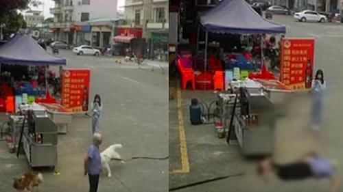 女孩|顺德牵狗女孩父亲发声 对女儿自己平常工作忙管不过来