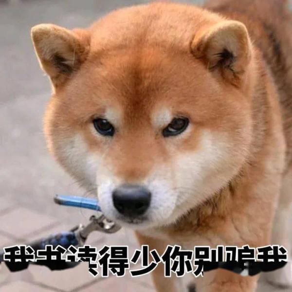 X女士又转|18次转账后，她损失了53万……