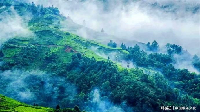  美如画|祖国的山水看不完，祖国的山水美如画