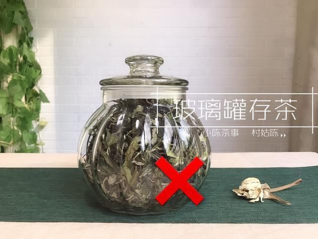 雷区|这7种错误的存茶方式，是好茶成长的雷区，茶友们看完别再踩了