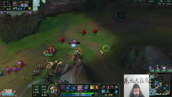  东北|吞天食地最强上单，东北大鹌鹑最强大虫子来袭！