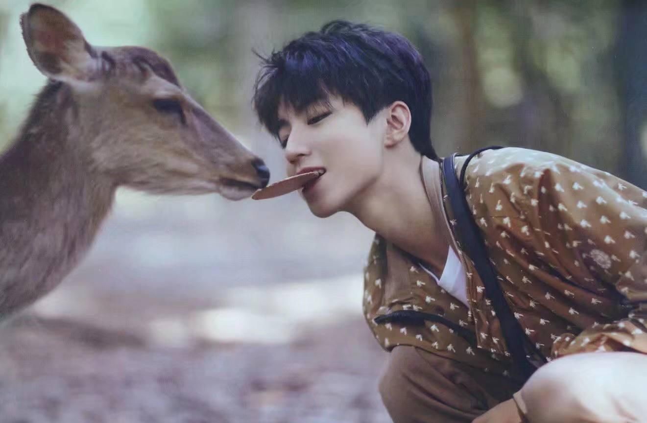  王俊凯|王俊凯和MLXG开黑，游戏水平高玩梗还信手拈来，博得一众路人好感