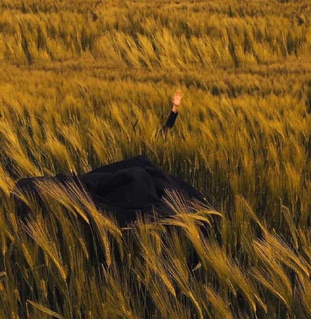 到底|分手后死缠烂打的那些人,到底是怎么想的?