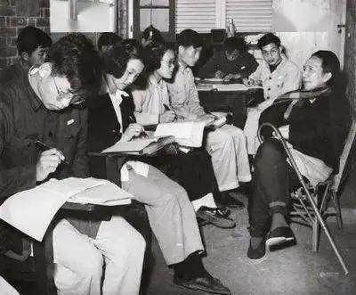  高考作文|满分作文《生活在树上》：高考作文不是自媒体文章，不需要人人看懂