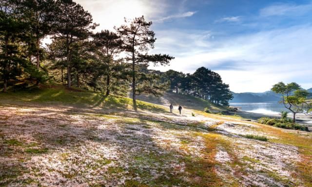  运势|8月贵人指点，鸿运当头，财帛不缺，旺上加旺的生肖