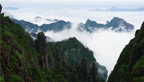 神农架深处,为什么会成为禁区只因有一