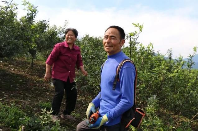 干部|【区县解读】涪陵扶贫干部杨廷兵用“绣花”功夫解决脱贫问题