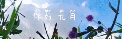 拒绝|饮食别“贪” 嘴拒绝“节日病”