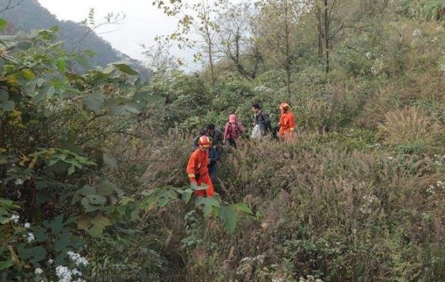  危险|【生活】33条避险法则；适用雷雨天遭遇山洪、泥石流、山体崩塌…