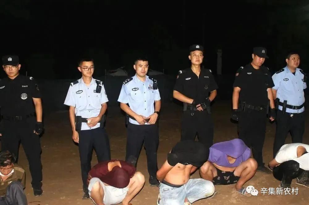 抓获|深夜！“细狗撵兔”进行赌博，田地里抓获31人！【辛集热门】