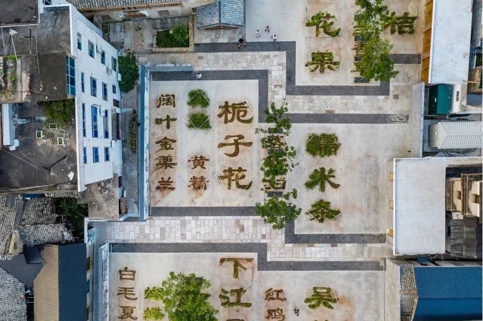  乡村|DnA建筑事务所的10个实践：公共建筑的针灸介入，是一种修复