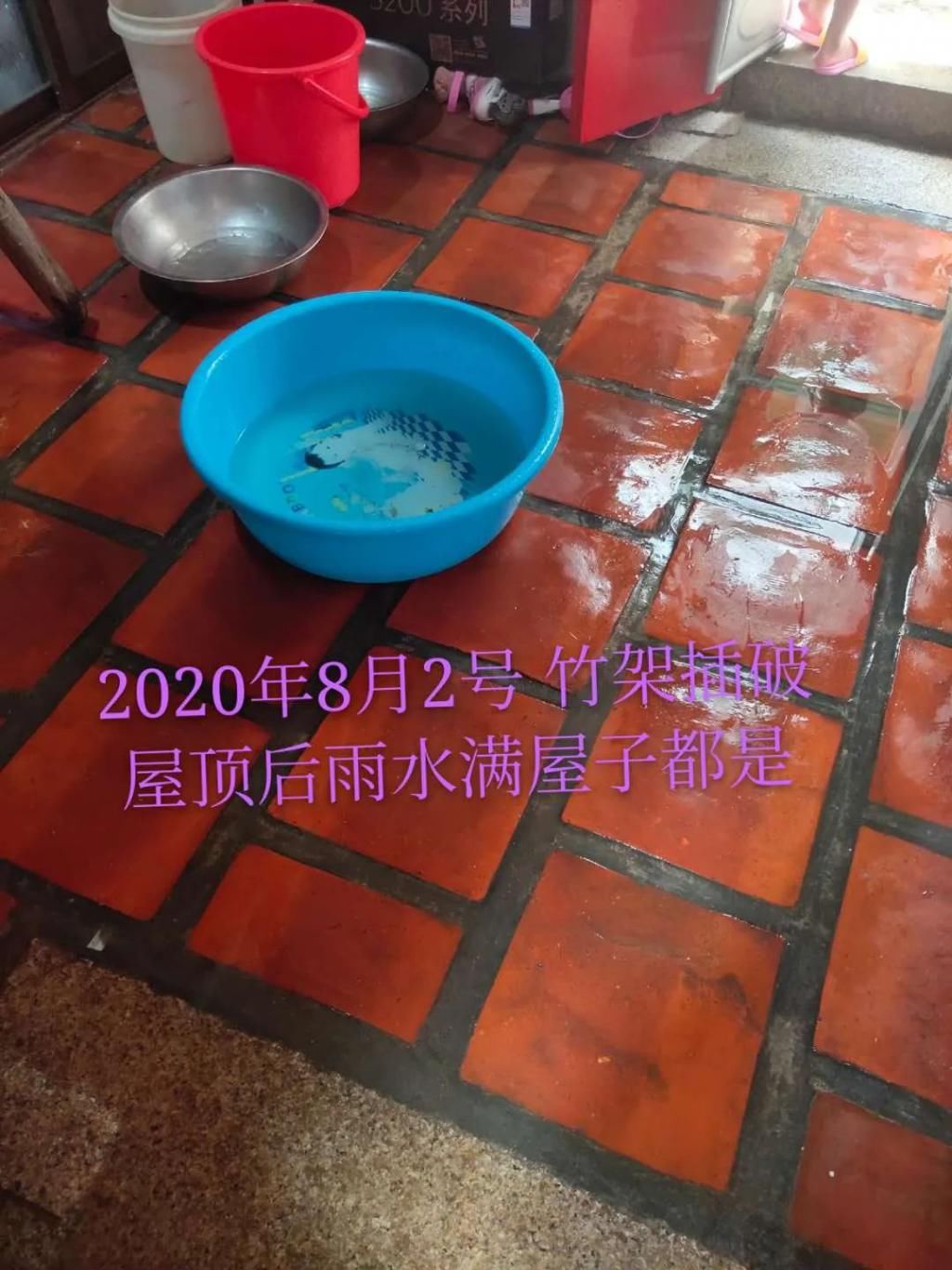  下山|潮汕某下山虎内，张小姐报警了