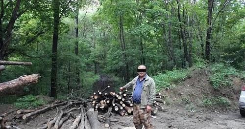 现实|现实版“光头强”?红石森林公安破获两起团伙盗伐林木案