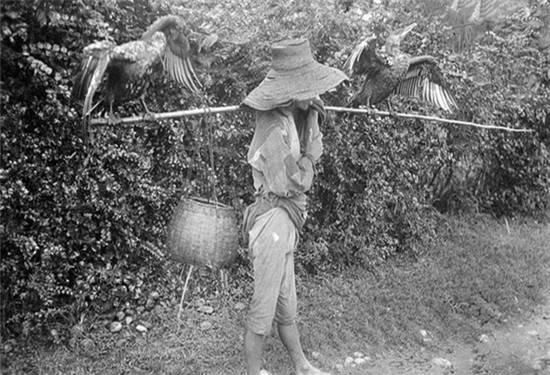  打渔|9张100年前农村的老照片，图3的人打渔后回家，图8是下乡的贵妇人