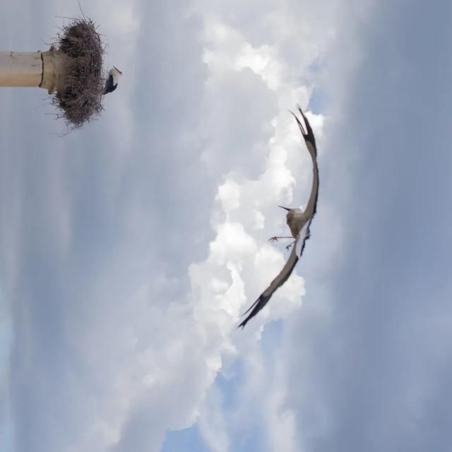  shui|陈燕：光不度，shui水成文