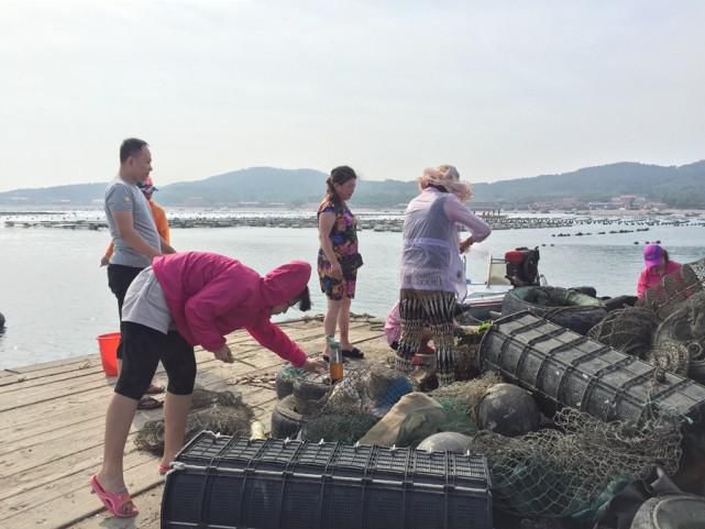  海鲜|大连禁渔期结束，九月来哈仙岛吃海鲜，海鲜管够吃到撑