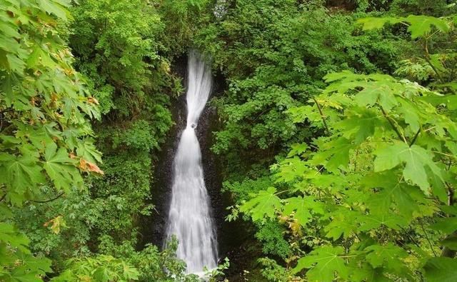 炎炎|你想享受自然空调风么？夏日炎炎，带你一起寻找避暑纳凉的好地方