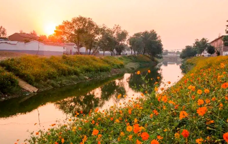 家乡|临清，我们一起美起来！