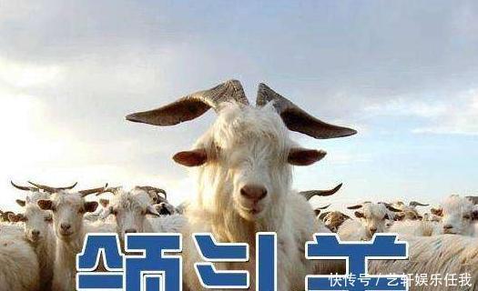 即将|指数二次探底完成，新一轮行情即将开启三大主线埋伏可吃肉