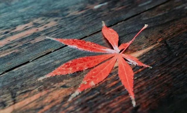 一惊|“穷”字怎么写？看完吃一惊