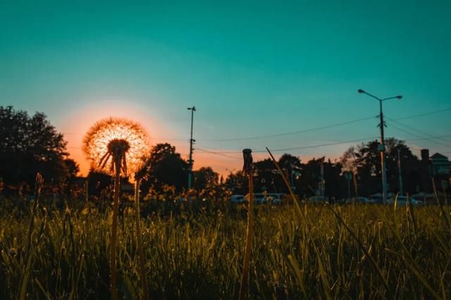 男孩|家有男孩，这句话一定说过，杀伤力有多大？