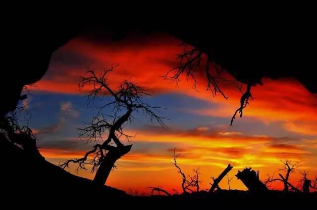  八道桥|为什么10月不能错过额济纳？详细攻略！不要错过这个秋天...