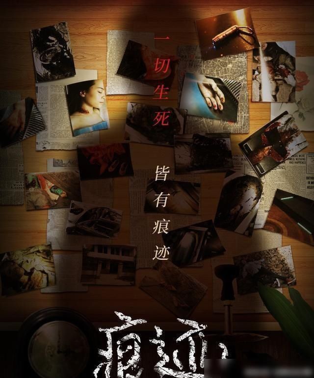  追查|追查网剧，一个于车祸的女孩，却经常点炸鸡